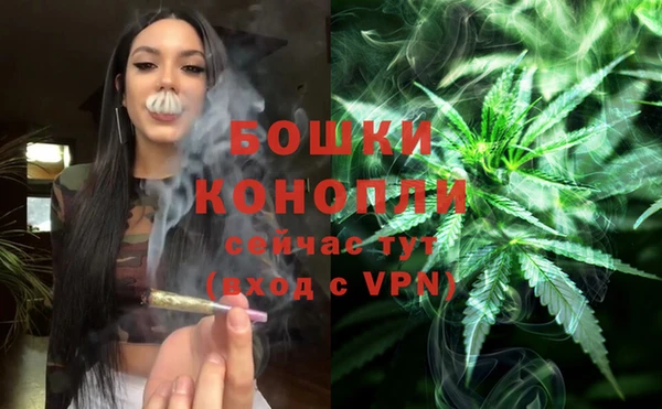 мяу мяу мука Медвежьегорск