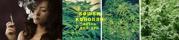стафф Заводоуковск