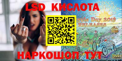 кокс Гатчина