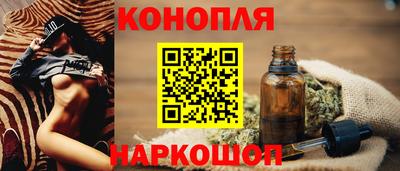кокс Гатчина