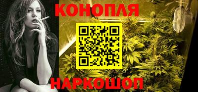 кокс Гатчина
