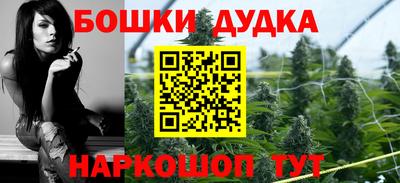 кокс Гатчина
