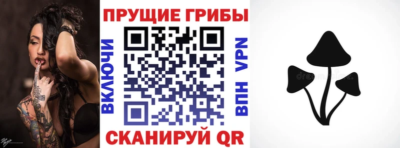 Галлюциногенные грибы мицелий Усть-Илимск