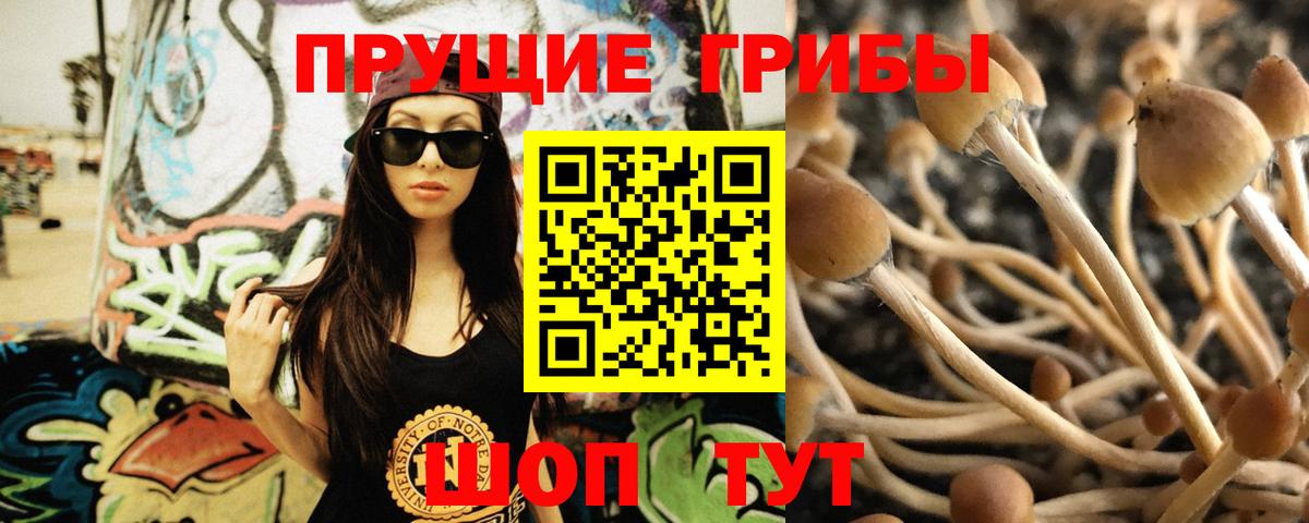 Бошки Шишки  Усть-Илимск  ТГК  Меф МЯУ МЯУ кристаллы  КОКАИН  ГАШИШ  A PVP СК кристаллы 