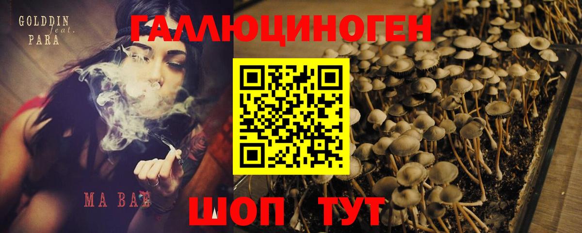 Галлюциногенные грибы мухоморы  как найти закладки  Усть-Илимск  Вход с VPN 