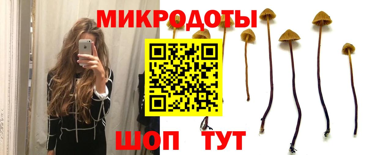 Псилоцибиновые грибы Magic Shrooms  Усть-Илимск 